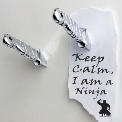 TOTALCADEAU 2 couteaux aimant&eacute;s ninja argent objet deco maison design insolite 
