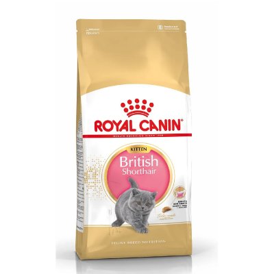 ROYAL CANIN 2kg Kitten British Shorthair  Croquettes pour chat