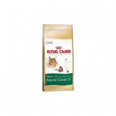 ROYAL CANIN 4kg Maine Coon  Croquettes pour chat