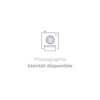 EBAC ABC MEUBLES - Matelas Maeva mousse 80 x 190 cm - 12 cm - maeva80-MatM