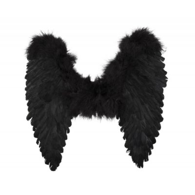 BOLAND BV Accessoire de d&eacute;guisement - Ailes d'ange - 50x50cm - noir