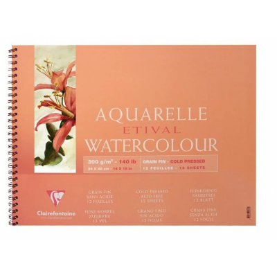 CLAIREFONTAINE Album Spiral&eacute; Etival Grain Fin 18x24cm 12 feuilles 300g