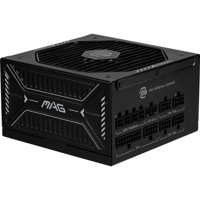 MSI Alimentation PC modulaire MAG A850GLS PCIE5 850W 80 PLUS Gold noir