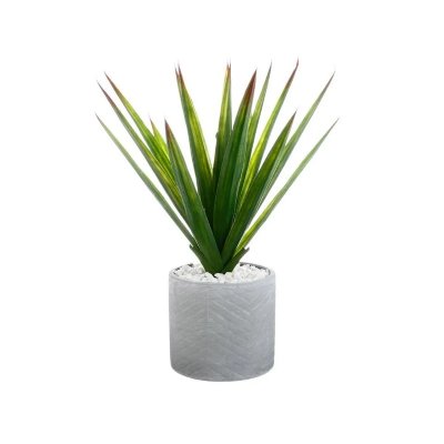 Aloe vera H. 48 cm ALINE Vert