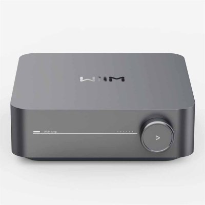 WIIM Amplificateur Hi-Fi  Amp Gris