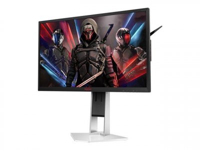 AOC  agon ag251fz2e AG251FZ2E