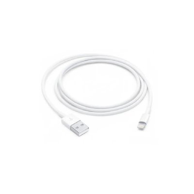 APPLE  C&acirc;ble Lightning vers USB (1 m)