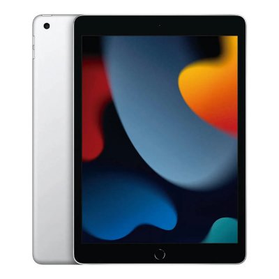 Apple iPad 10,2 pouces 256 Go Argent Wifi 9 &egrave;me g&eacute;n&eacute;ration 2021 