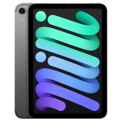 Apple iPad Mini 8,3'' 256 Go Gris sid&eacute;ral 5G 7&egrave;me g&eacute;n&eacute;ration 2024 
