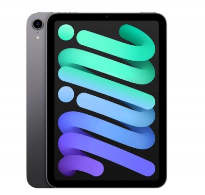 Apple iPad mini Wi-Fi 256 Go 2021 - Gris sid&eacute;ral