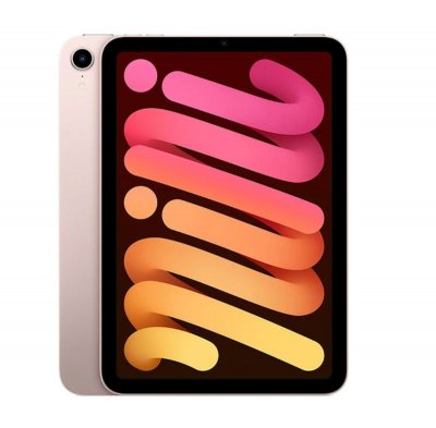 Apple iPad mini Wi-Fi + Cellular 256 Go 2021 - Rose