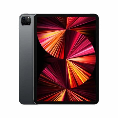 Apple iPad Pro 11 (2021) Wi-Fi (3e g&eacute;n&eacute;ration). Couleur: Gris