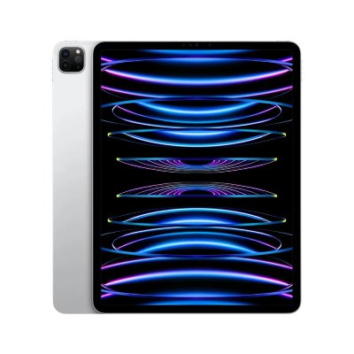 Apple iPad Pro 12,9 pouces Puce Apple M2 2To Argent Wifi Fin 2022 