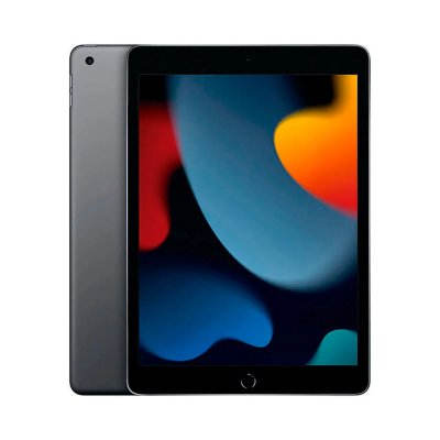 Apple Ipad Wifi 256gb 10.2&acute;&acute; Gris