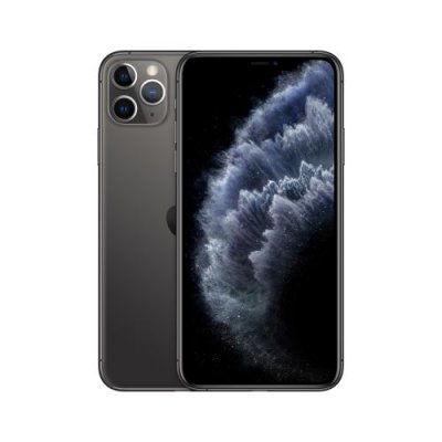 Apple iPhone 11 Pro Max 256 Go 6.5 pouces Gris Sid&eacute;ral