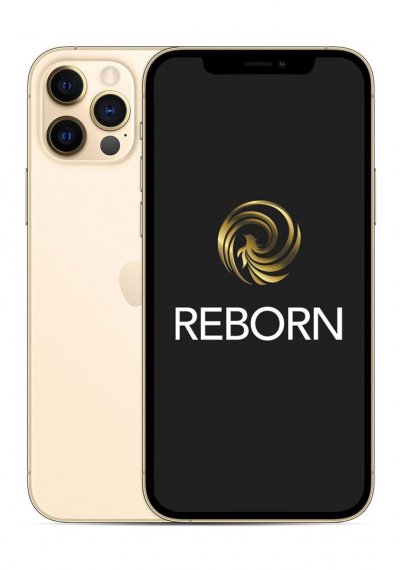 Apple iPhone 12 Pro 6,1"" 5G Double SIM 256 Go Or Reconditionn&eacute; Grade A Reborn 