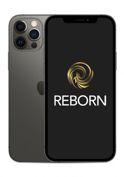 Apple iPhone 12 Pro 6,1 pouces 5G Double SIM 256 Go Gris Reconditionn&eacute; Grade A Reborn 