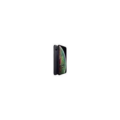 Apple iPhone XS Max 64 Go 6.5"" Gris sid&eacute;ral Reconditionn&eacute; avec Batterie Neuve 