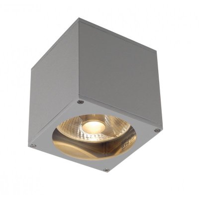 SLV Applique ext&eacute;rieure  BIG THEO, gris, GU10/QPAR111, 75W max, IP44