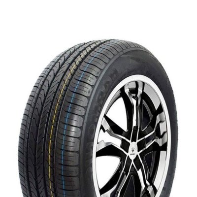 APTANY  RP203 ( 195/55 R15 85V ) Pneus &eacute;t&eacute;