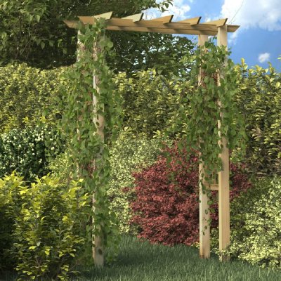 VIDAXL Arche De Jardin Arche De Rose 150 X 50 X 200 Cm En Bois Impr&eacute;gn&eacute;s