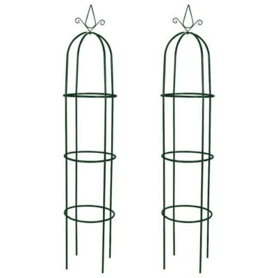 VIDAXL Arche de jardin en forme de tour 2 pcs  - Vert