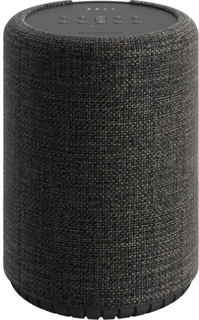 AUDIO PRO  G10 - Enceinte sans fil Bluetooth - Gris