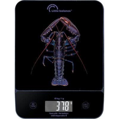 LITTLE BALANCE Balance de cuisine  8710 