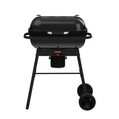 BARBECOOK Barbecue charbon magnus original -  