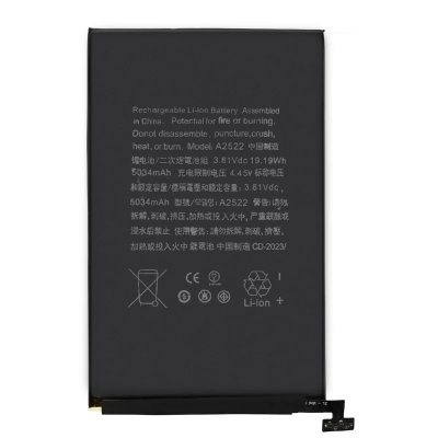 CLAPPIO Batterie pour iPad Mini 6 A2522 5034 mAh 100% compatible Noir