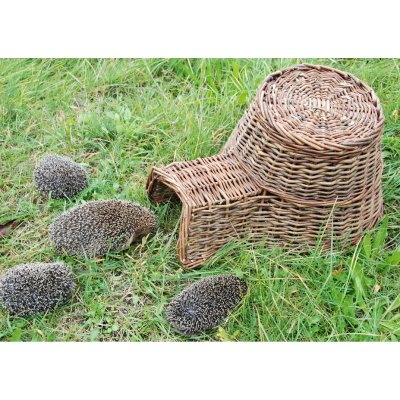 ESSCHERT DESIGN Beeztees Panier en Osier pour H&eacute;risson 52 x 38 x 27 cm