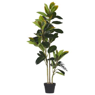 BELIANI  Plante Artificielle FICUS ELASTICA 134 cm