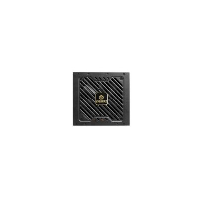 ENERMAX Bloc dalimentation  Revolution III Black (ERV1000G-AHG-MAC)