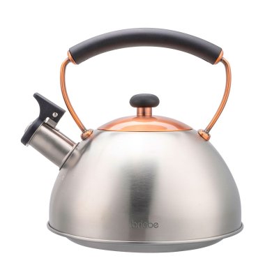 BRIEBE Bouilloire &agrave; Induction Th&eacute;i&egrave;re Sifflet 2,3L Acier Inox. Retro, Poign&eacute;e Cool Inox/ Bronze I-Bronze