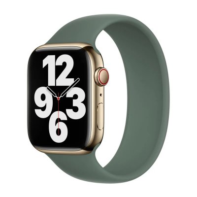 APPLE Bracelet Boucle unique en Silicone  Watch 38/40/41/42 mm - Taille 4 - Eucalyptus