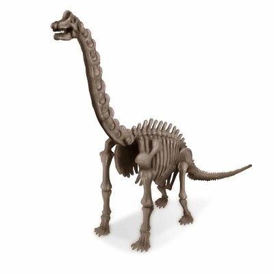 4M Brachiosaure D&eacute;terre ton Dinosaure Dig a dino