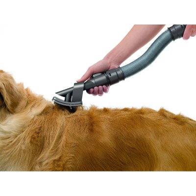DYSON Brosse poils de chien - groom retail - 92100001 - 