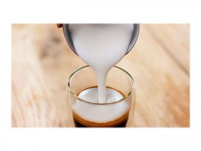 PHILIPS CA6500 Milk Twister - Mousseur &agrave; lait - 120 ml - 500 Watt - noir