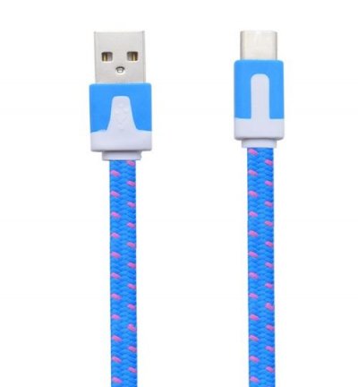  Cable Noodle Type C pour Nintendo Switch Chargeur USB 1,5m Connecteur Tresse (BLEU)
