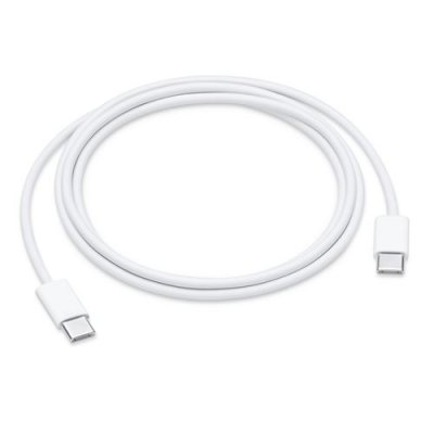 APPLE C&acirc;ble USB C  charge USB-C 1m