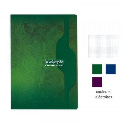 CALLIGRAPHE Cahier A4 -  - 96 pages - Petits carreaux - 21 x 29,7 cm