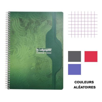 CALLIGRAPHE  Cahier spirale A4 21 x 29,7 cm - petits carreaux 5x5 - 100 pages - bloc 50 feuilles