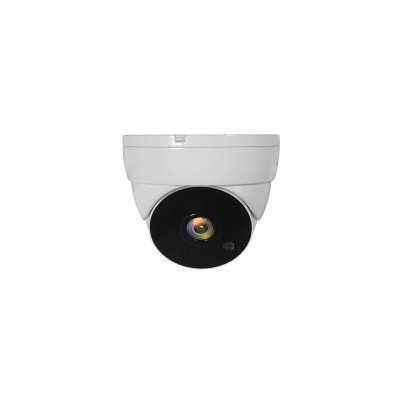 LEVELONE Camara para kit videovigilancia  domo 1080 ACS-5302