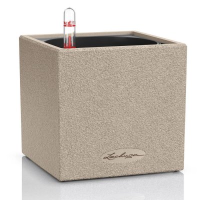 LECHUZA Canto Stone 14 - 14x14x14 cm - Kit Complet, beige sable