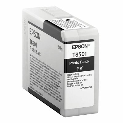 EPSON cartouche  T850100