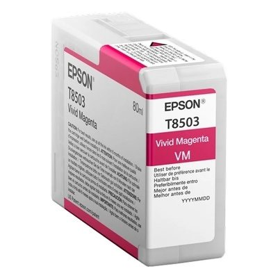 EPSON cartouche  T850300