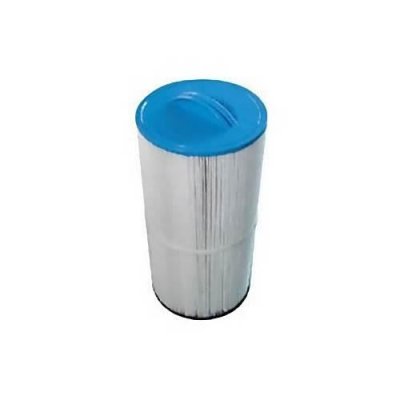 FILTRINOV Cartouches filtrantes pour piscine  MX18 et MX25 x2 - Gris