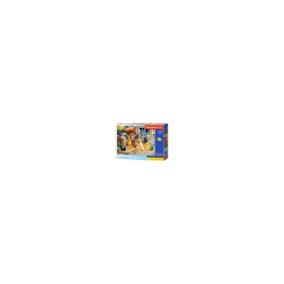 CASTORLAND  B-030255 Puzzle Gathering Friends 300 Pi&egrave;ces Multicolore