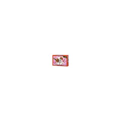 CASTORLAND  - B-52233 - Puzzle - Chiot dans Fleurs Roses - 500 Pi&egrave;ces