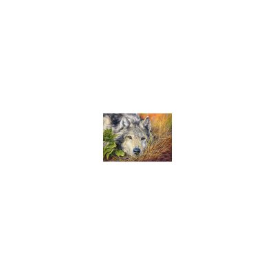 CASTORLAND  Pure Soul, Puzzle 500 Teile - - Puzzle
